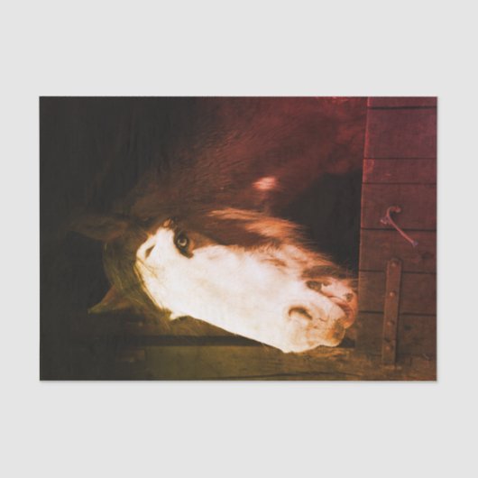 Bruin paard op Boerderij Gewoon een meisje dat van Tissuepapier (Voorkant)