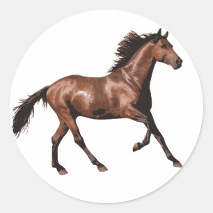 Bruin paard ronde sticker