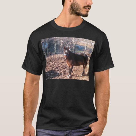 Bruin paard t-shirt (Voorkant)