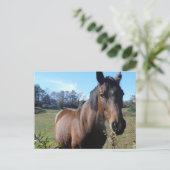 Bruin paard tegen blauwe hemel briefkaart (Staand voorkant)
