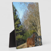 Bruin paard tegen een hek fotoplaat (Zijkant)