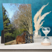 Bruin paard tegen een hek fotoplaat (Zijkant)