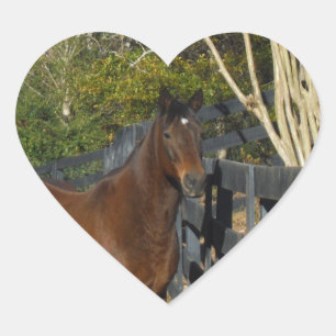 Bruin paard tegen een hek hart sticker