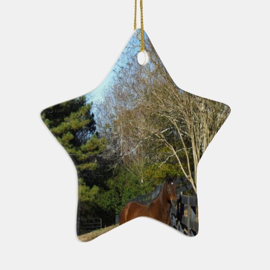 Bruin paard tegen een hek keramisch ornament (Rechts)