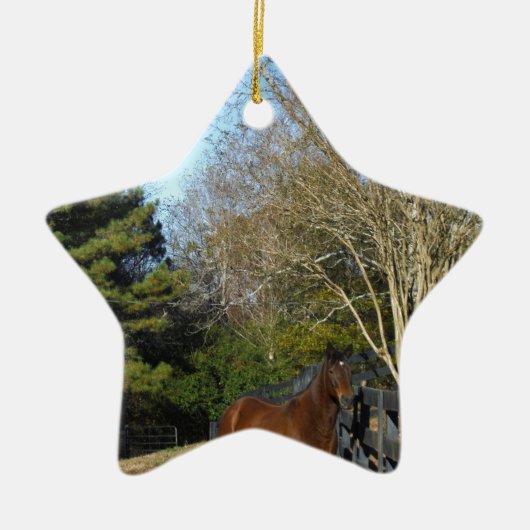 Bruin paard tegen een hek keramisch ornament (Voorkant)