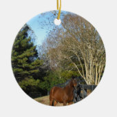 Bruin paard tegen een hek keramisch ornament (Voorkant)