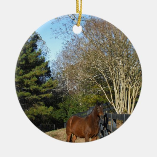 Bruin paard tegen een hek keramisch ornament (Voorkant)