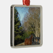 Bruin paard tegen een hek metalen ornament (Rechts)