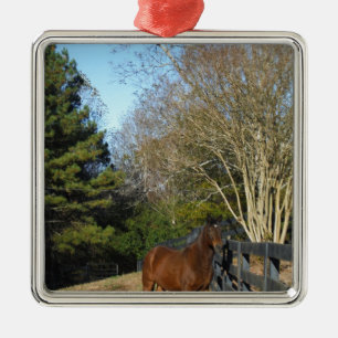 Bruin paard tegen een hek metalen ornament
