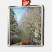 Bruin paard tegen een hek metalen ornament (Links)