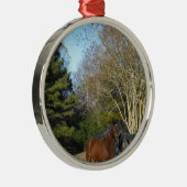Bruin paard tegen een hek metalen ornament (Rechts)