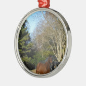 Bruin paard tegen een hek metalen ornament (Links)