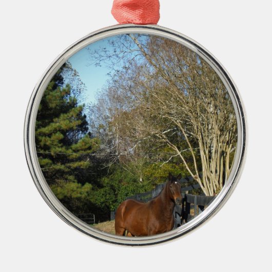 Bruin paard tegen een hek metalen ornament (Voorkant)