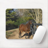Bruin paard tegen een hek muismat (Met muis)