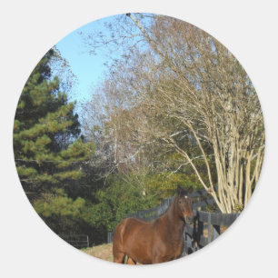 Bruin paard tegen een hek ronde sticker