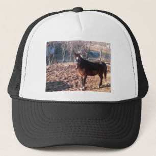 Bruin paard trucker pet