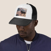Bruin paard trucker pet (In situ)