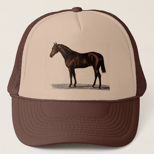 Bruin paard trucker pet (Voorkant)