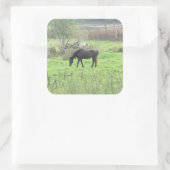 Bruin Paard uit bij Pasture Boerderij Stickers (Tas)