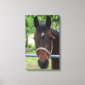 Bruin Paard Verpakt Canvas (Voorkant)