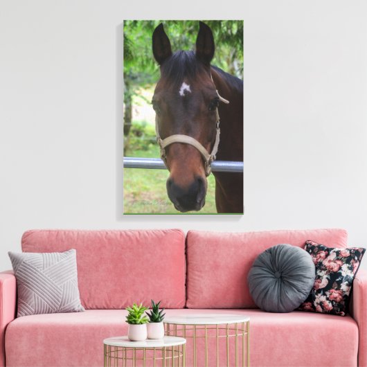 Bruin Paard Verpakt Canvas (Insitu (Woonkamer))