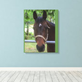 Bruin Paard Verpakt Canvas Afdruk (Insitu (Houten vloer))