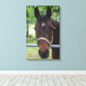 Bruin Paard Verpakt Canvas Afdruk (Insitu (Houten vloer))