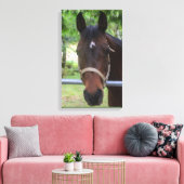Bruin Paard Verpakt Canvas Afdruk (Insitu (Woonkamer))