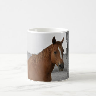 Bruin Paard, Z&W Achtergrond Mok