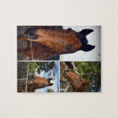 Bruin Paarden Foto-collage Legpuzzel (Horizontaal)