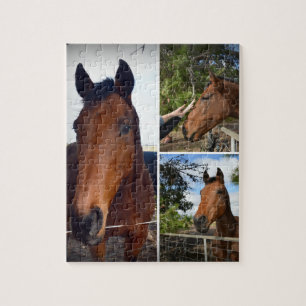 Bruin Paarden Foto-collage Legpuzzel