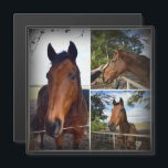 Bruin Paardenfotocollage, magnetische Kaart<br><div class="desc">Afbeelding is een fotocollage van drie  bruine paarden</div>