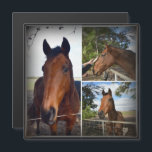 Bruin Paardenfotocollage, magnetische Kaart<br><div class="desc">Afbeelding is een fotocollage van drie  bruine paarden</div>