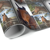 Bruin paardenfotocollage, papier voor het oppakken (Rol Hoek)
