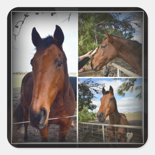 Bruin Paardenfotocollage, vierkante Sticker (Voorkant)