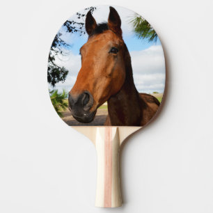 Bruin paardengezicht, tafeltennisbatje