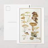 bruin paddenstoel illustratie briefkaart (Voorkant / Achterkant)