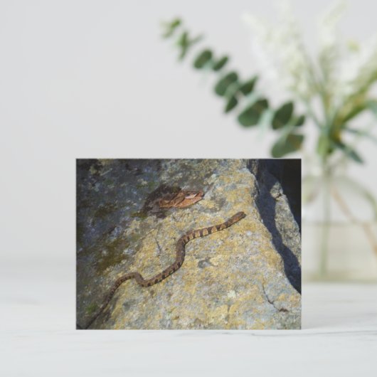 Bruin patroon slang op Rock Briefkaart (Staand voorkant)
