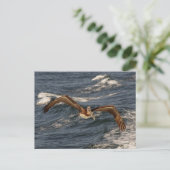 Bruin Pelicaans Briefkaart (Staand voorkant)