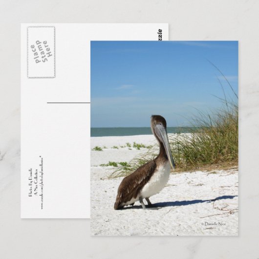 Bruin Pelicaans Briefkaart (Voorkant / Achterkant)