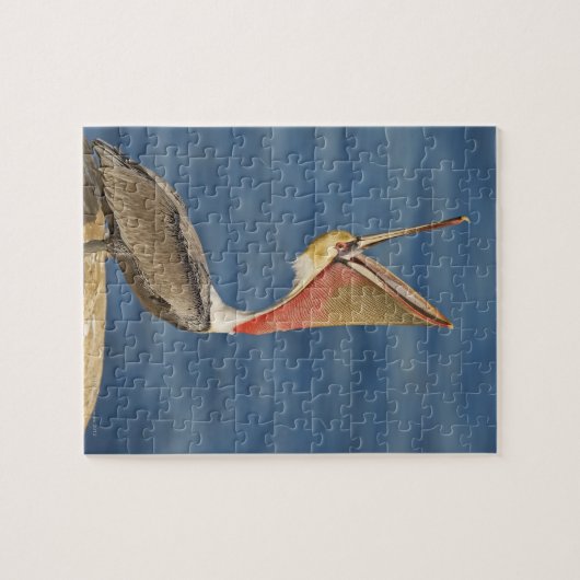 Bruin Pelican met open mond Legpuzzel (Horizontaal)