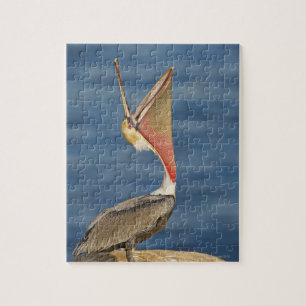 Bruin Pelican met open mond Legpuzzel