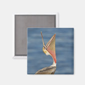 Bruin Pelican met open mond Magneet (Voorkant / Achterkant)