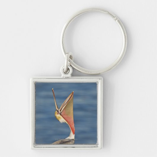 Bruin Pelican met open mond Sleutelhanger (Voorkant)