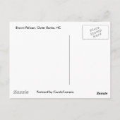 Bruin Pelican OBX-Briefkaart Briefkaart (Achterkant)