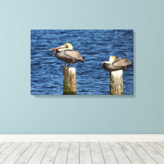 Bruin Pelican Pair die op posts Canvas drukt (Insitu (Houten vloer))