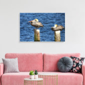 Bruin Pelican Pair die op posts Canvas drukt (Insitu (Woonkamer))