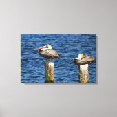 Bruin Pelican Pair die op posts Canvas drukt (Voorkant)