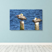 Bruin Pelican Pair die op posts Canvas drukt Afdruk (Insitu (Houten vloer))
