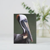 Bruin Pelican-profiel Briefkaart (Staand voorkant)